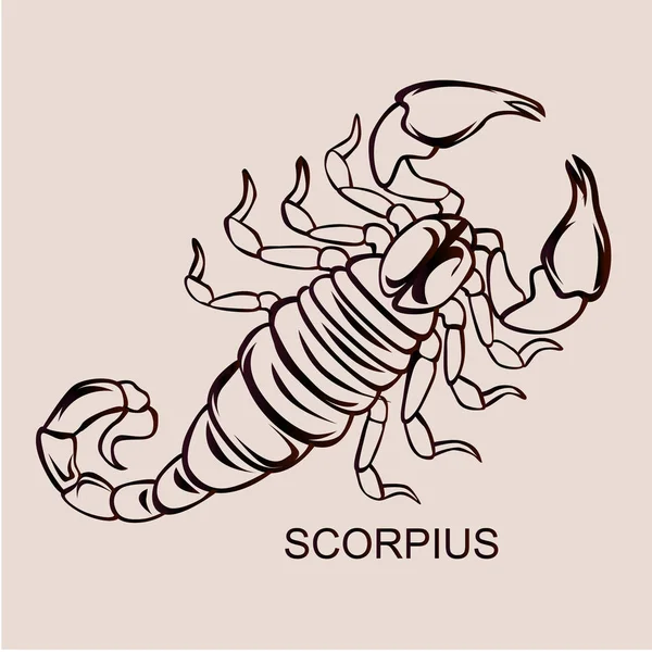 Costellazione Scorpius illustrazione — Vettoriale Stock