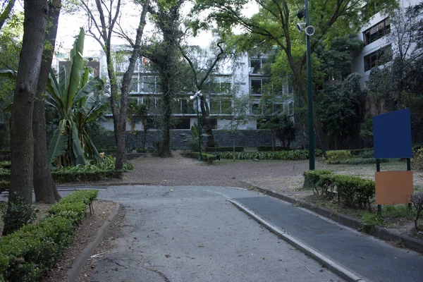 Entre Les Bâtiments Les Rues Mexico Piste Course Dans Parc — Photo