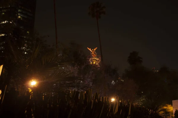 Wśród Palm Drzew Mexico City Pojawia Się Noc — Zdjęcie stockowe