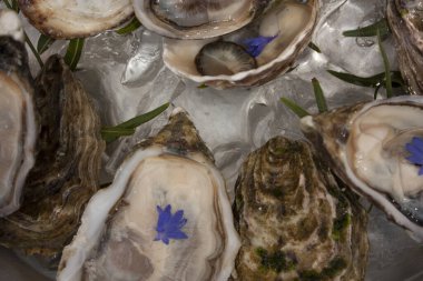 Tüketim için mor çiçeklerle süslenmiş taze çiğ istiridye.