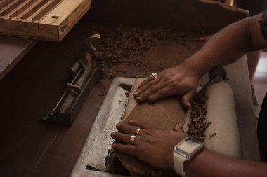 Meksika 'da bir işçinin el bilgisayarını kullanarak tütün sarmak için ekonomik süreç