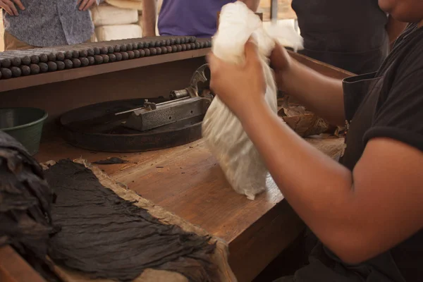 tobacco plant process in a factory in Mexico City, wonan hands making the production of cigars