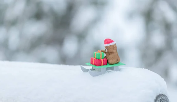 Bir kızak üzerinde Noel ayı