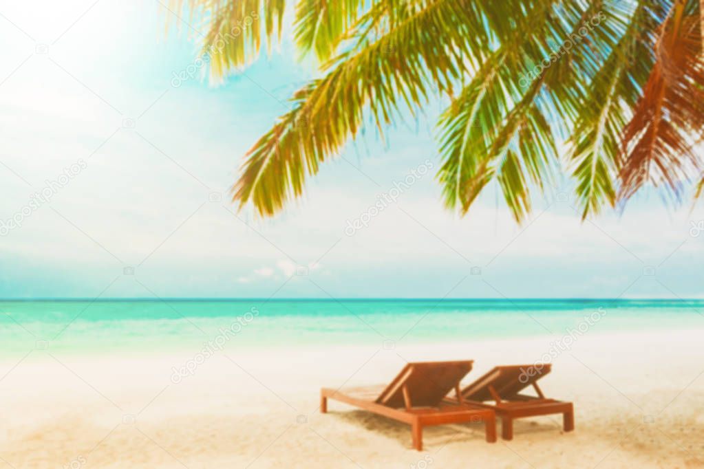 blurred beach background with beach chairs under coconut tree