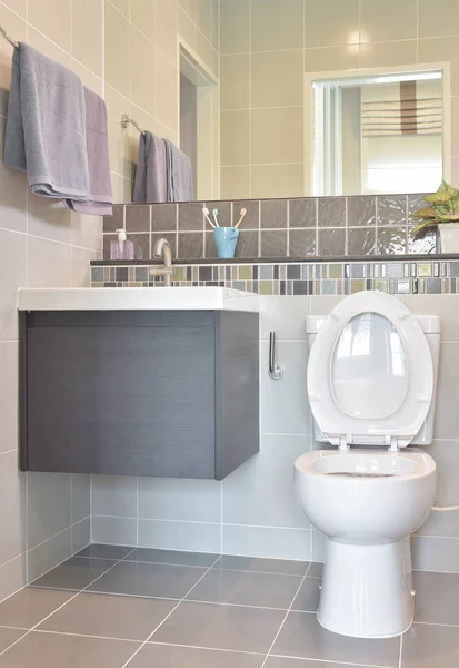 Water closet and lavatory with towel rail in modern style toilet