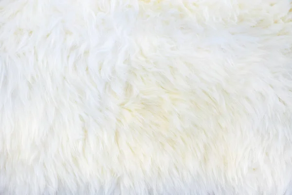 Крупным планом белый пушистый меховой фон — стоковое фото