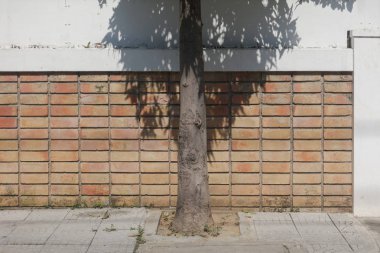 Retro tarzı çit ile ağaç gölgesi