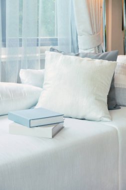 Beyaz yastıklar ve modern oturma odasında beyaz kanepe üzerinde ayarlama kitaplar