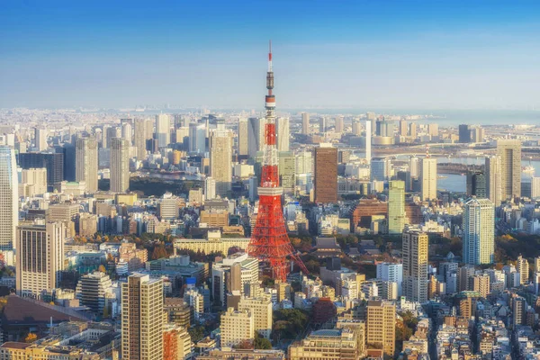 Skyline of Tokyo Cityscape com Torre de Tóquio ao pôr do sol, Japão — Fotografia de Stock