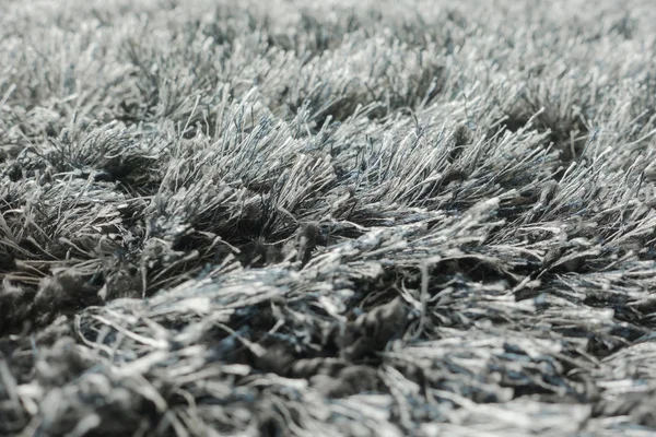 Крупним планом килимове волокно в чорно-білому — стокове фото