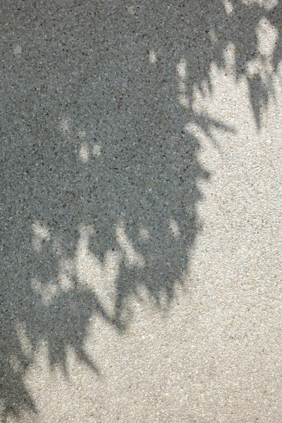 Sombra de árvore no fundo da parede de lavagem de areia — Fotografia de Stock