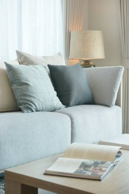 Gri renk düzeni kanepe ve modern tarzı oturma odasında yastıklar