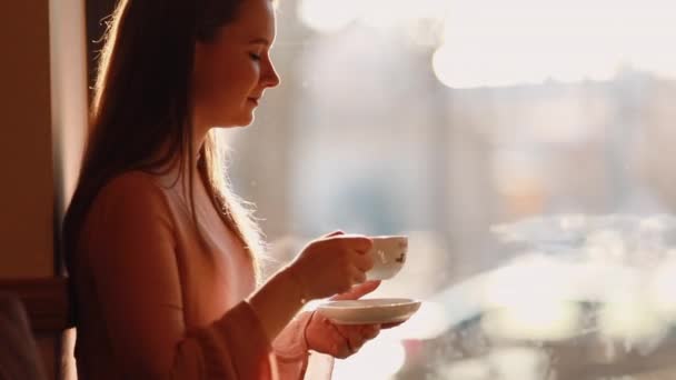 Jovem Menina Bonita Segurar Uma Xícara Café Sentar Perto Janela — Vídeo de Stock