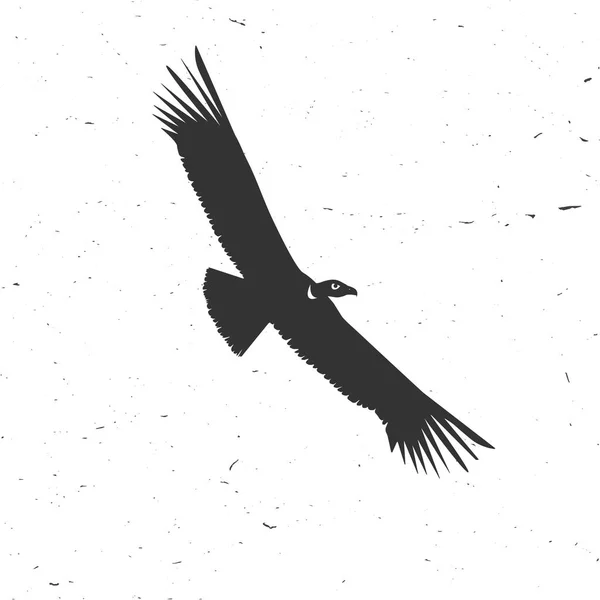 Fliegende Kondor-Silhouette auf weißem Hintergrund. — Stockvektor