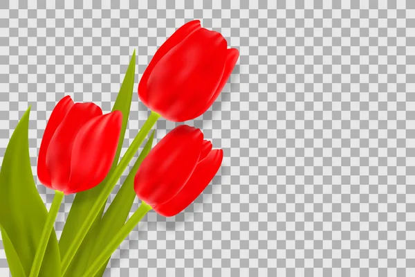 Ramo de tulipanes rojos con espacio para mensaje de saludo . — Vector de stock