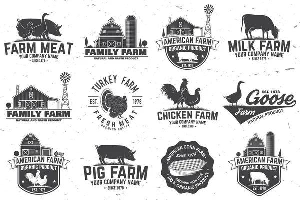 American Farm Badge o etiqueta. Ilustración vectorial . — Vector de stock
