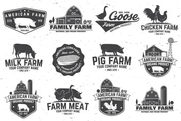 American Farm Badge o etiqueta. Ilustración vectorial . — Vector de stock