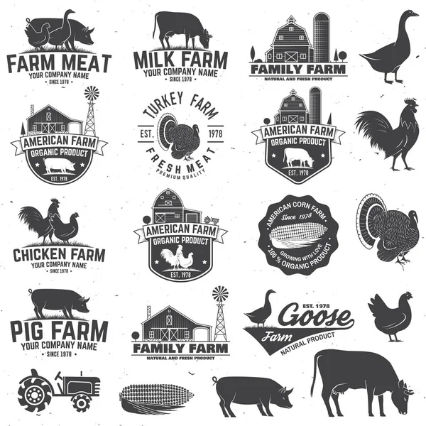 American Farm Badge or Label. Vector illustration. — Stock Vector