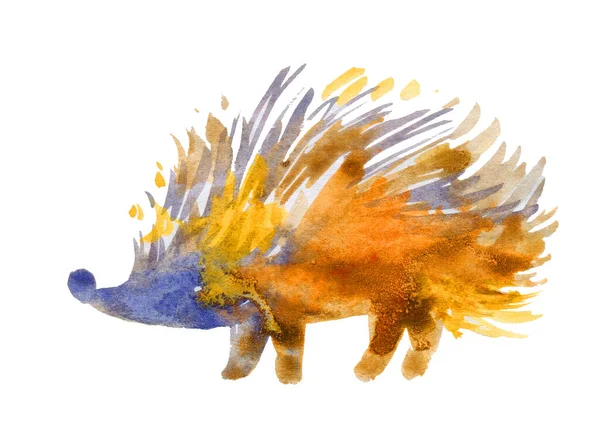 Lindo erizo. ilustración de acuarela. animal salvaje del bosque — Foto de Stock
