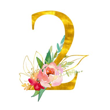 Beyaz arka planda izole edilmiş suluboya çiçekleri ve yapraklarla süslenmiş ikinci basamaklı altın klasik sayı. Düğün davetiyeleri, posterler, kartlar, ev dekorasyonu için zarif suluboya çizimleri