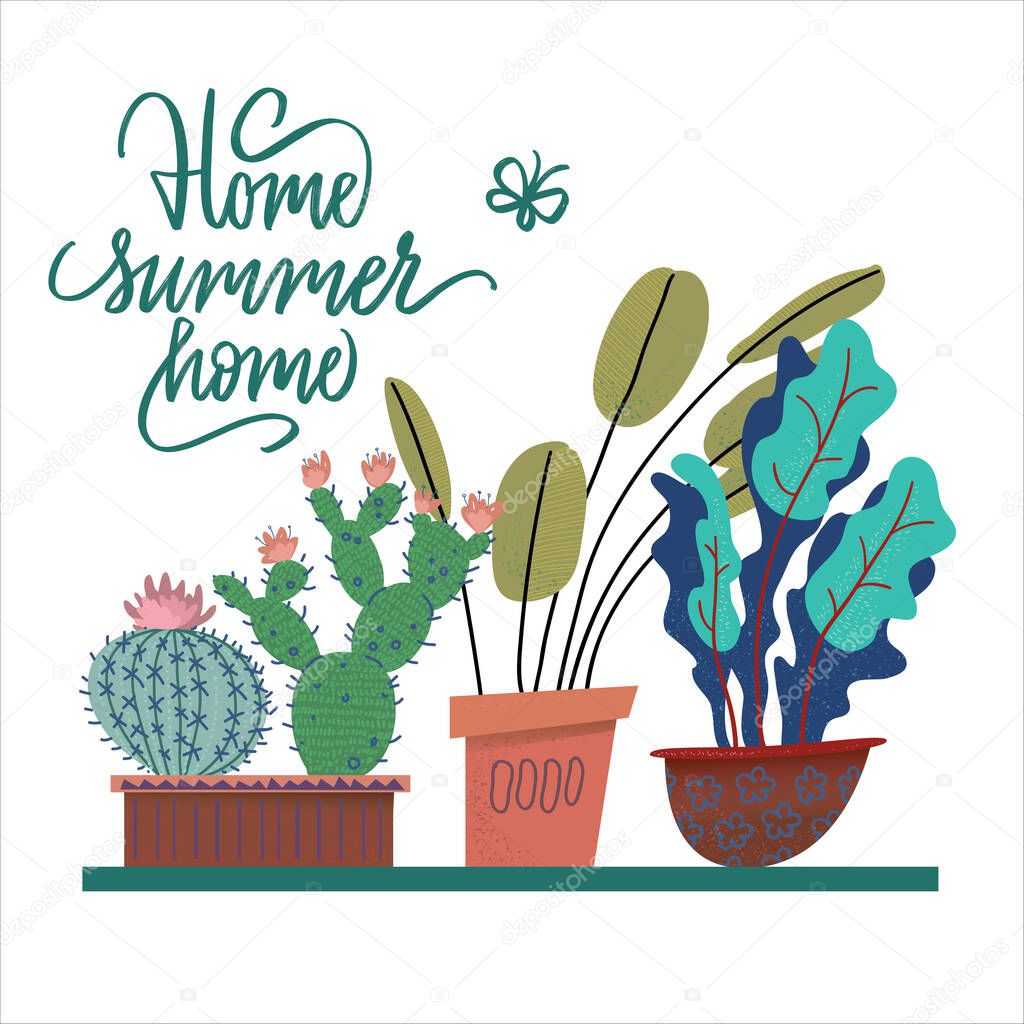 Home summer sweet home cute hand drawn lettering with house plants. Flower pots composition with letters. Card and t-shirt cartoon illustration.