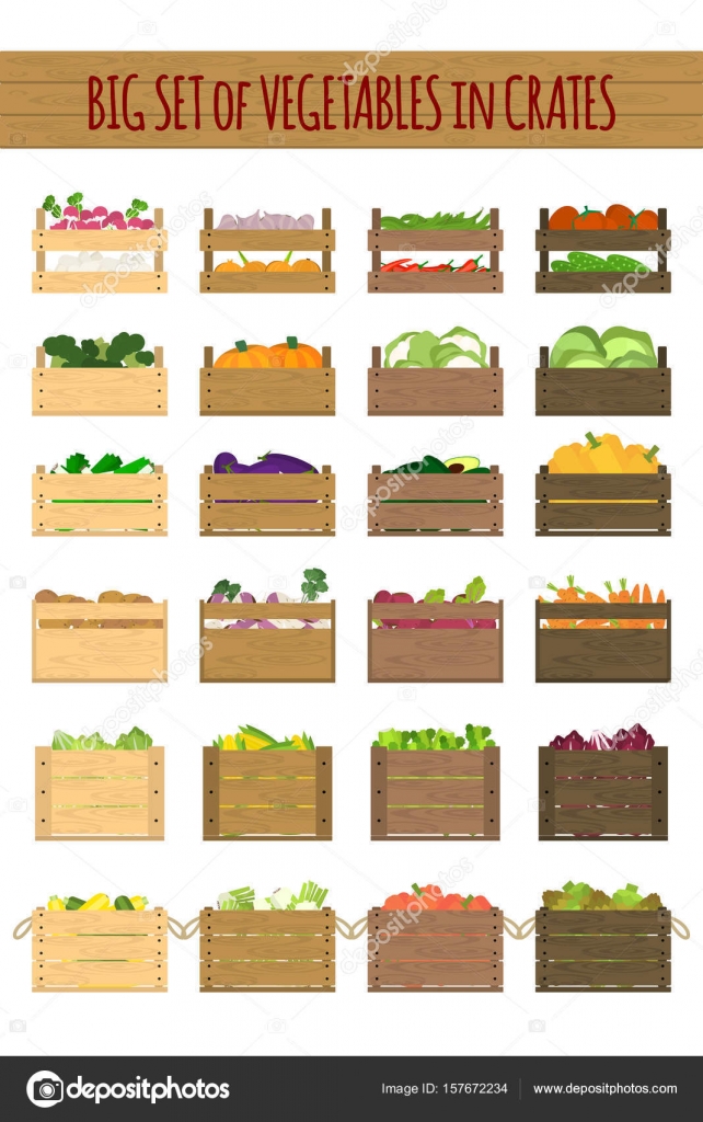 Wooden crates with veggies — Stock Vector © unununij #157672234