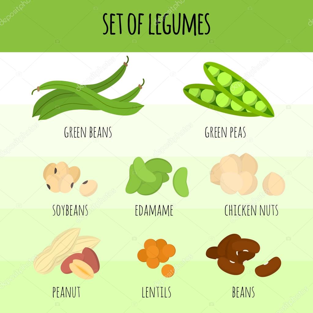 Imágenes: ilustraciones legumbres | conjunto de legumbres — Vector de