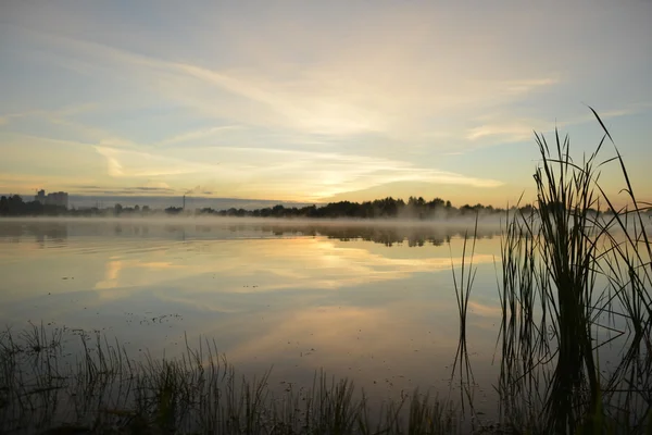 Paesaggio mattutino. Nebbia sul fiume . — Foto Stock