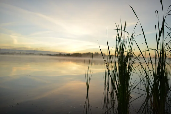 Paesaggio mattutino. Nebbia sul fiume . — Foto Stock