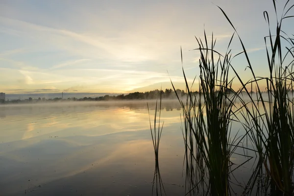 Paesaggio mattutino. Nebbia sul fiume . — Foto Stock