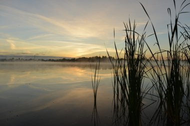 Sabah manzara. Sis Nehri. 
