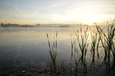 Sabah manzara. Sis Nehri. 