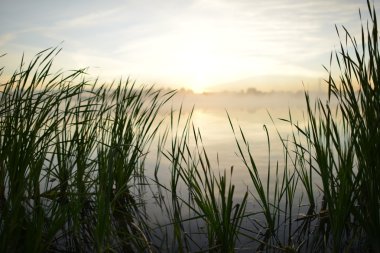 Sabah manzara. Sis Nehri. 