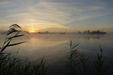 Sabah manzara. Sis Nehri. 