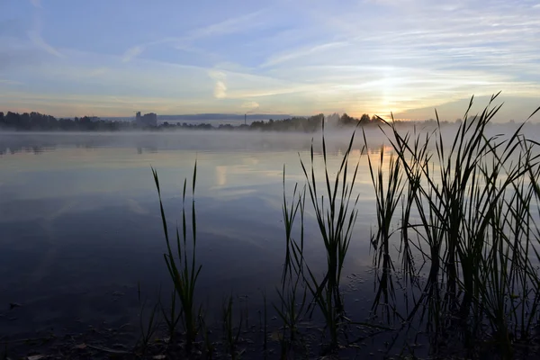 Paesaggio mattutino. Nebbia sul fiume . — Foto Stock