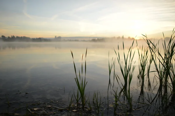 Paesaggio mattutino. Nebbia sul fiume . — Foto Stock