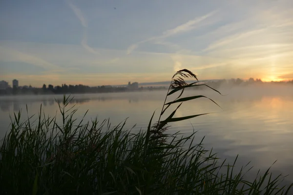 Paesaggio mattutino. Nebbia sul fiume . — Foto Stock