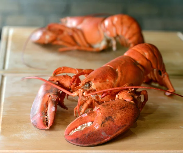 Fresh delicious lobster. — Stock Photo, Image