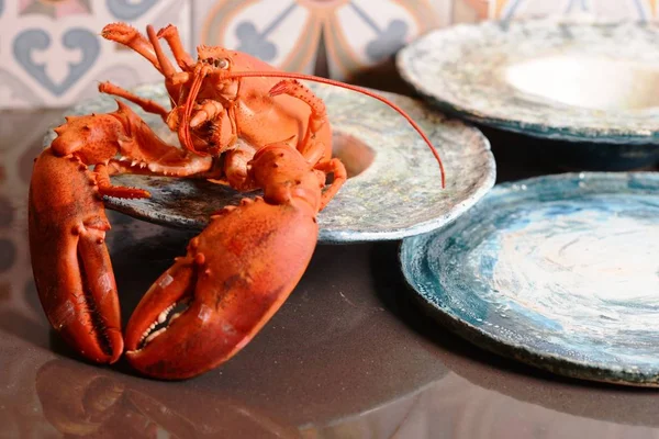 Fresh delicious lobster. Ceramic tableware.
