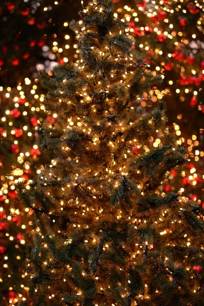 Iluminaciones navideñas. Luces de Navidad . —  Fotos de Stock