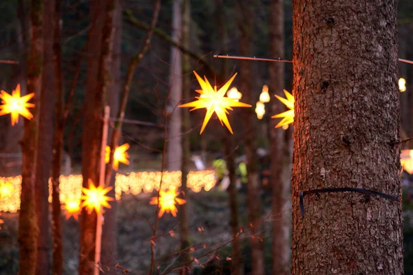 Iluminaciones navideñas. Luces de Navidad . —  Fotos de Stock