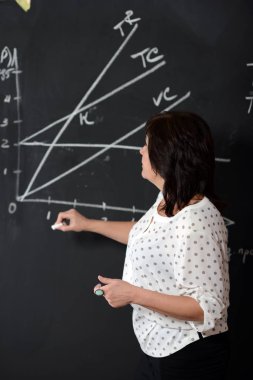 Olgun kadın öğretmen ekonomi ders açıklar.