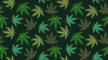 Kenevir yapraklı kusursuz desen. Esrar, sativa, indica, marihuana. Vektör İllüstrasyon arkaplanı