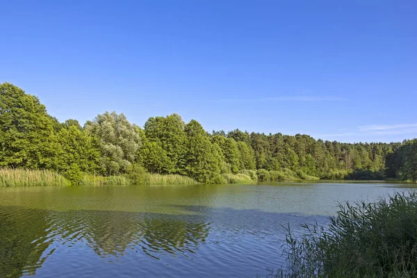 Pequeño lago en Brandeburgo — Foto de Stock