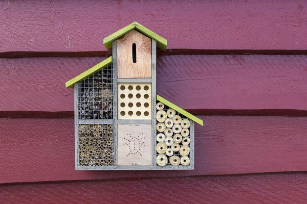 Bahçedeki böcek evine bak.