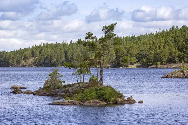 Vista de un lago idílico con una pequeña isla en un bosque sueco . — Foto de Stock