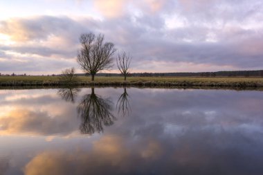 Wittenberge, Brandenburg yakınlarındaki Locknitz nehri. Kışın akşam ışığında hoş, sessiz bir atmosfer. Bir sırada ağaçlar var..