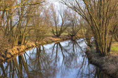Wittenberge, Brandenburg yakınlarındaki Locknitz nehri. Öğleden sonra sıcacık bir ışıkta hoş, sessiz bir atmosfer. Bir sırada ağaçlar var..
