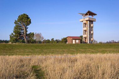 Brandenburg, Schwedt kasabası yakınlarındaki Lezbiyen 'de yeni bir gözlem kulesi; Almanya ile Polonya arasındaki sınırda manzaralı bir manzara, Unteres Odertal Ulusal Parkı..