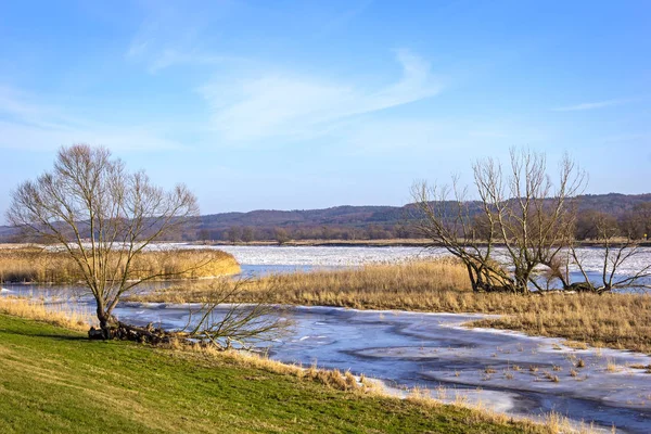 Inundación Invierno Río Oder Enero Río Oder Río Fronterizo Entre — Foto de Stock